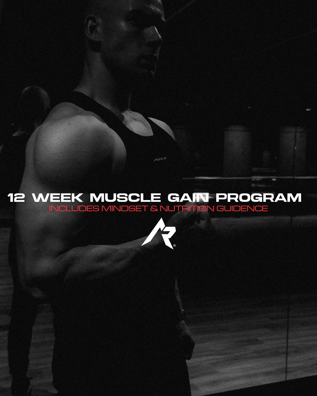 12-Week Muscle Gain Program (Digital Download)